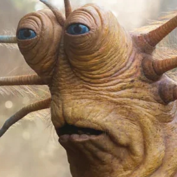 Meet your Posher, Samuel - Picture 1 of 1